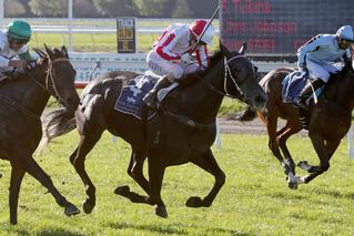 Nikita (NZ) winning the 2017 NZB Warstep Stakes.